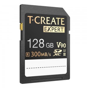 EXPERT SDXC UHS-II U3 V90 Memory Card 256GB