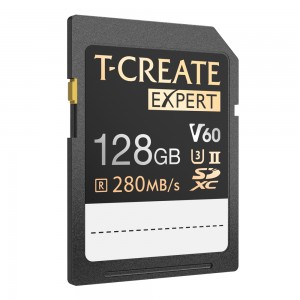 EXPERT SDXC UHS-II U3 V60 Memory Card 1TB